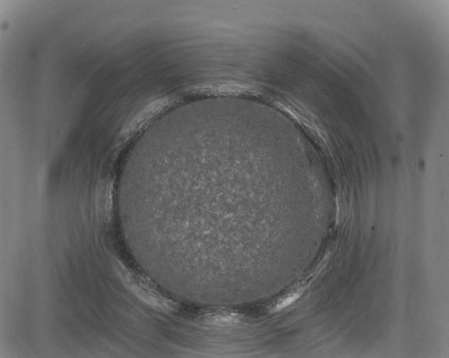 X0000085060206200703121533