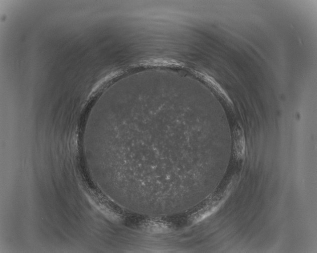 X0000085060207200703121533