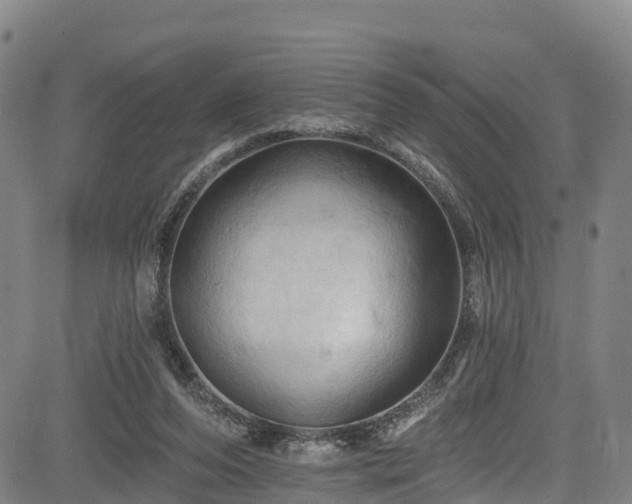 X0000085060208200703121533