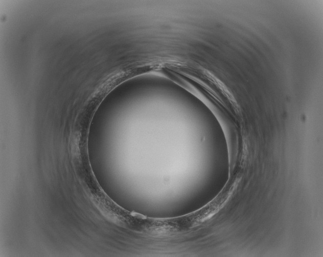 X0000085060209200703121533