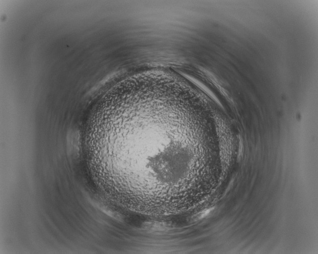 X0000085060211200703121533