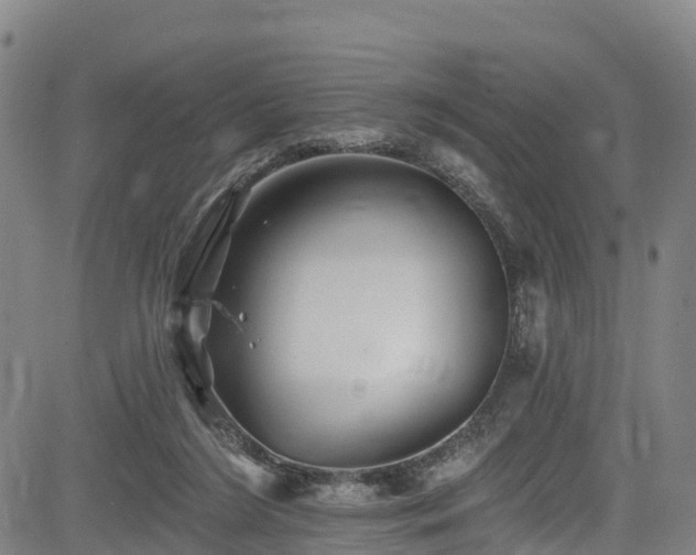 X0000085060212200703121533