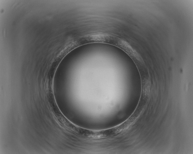 X0000085060213200703121533