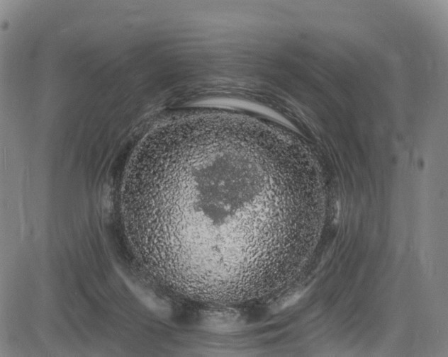 X0000085060215200703121533