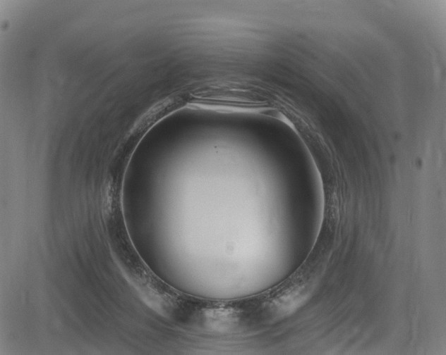 X0000085060216200703121533