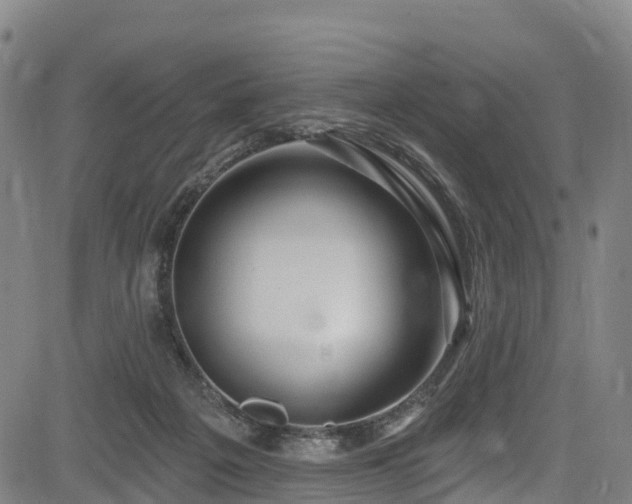 X0000085060217200703121533