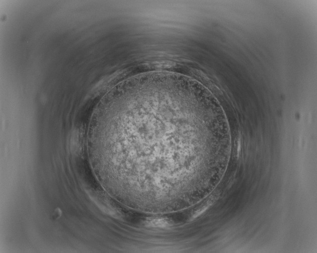 X0000085060218200703121533