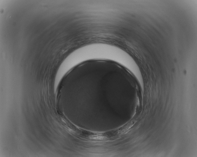 X0000085060219200703121533