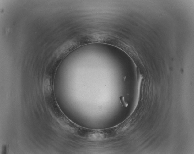 X0000085060220200703121533