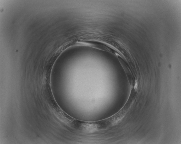 X0000085060221200703121533