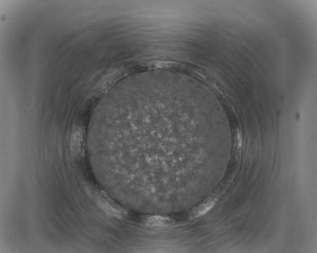 X0000085060222200703121533