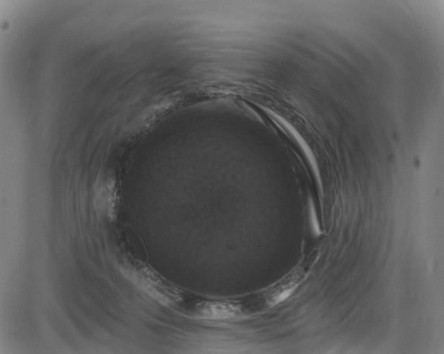 X0000085060223200703121533