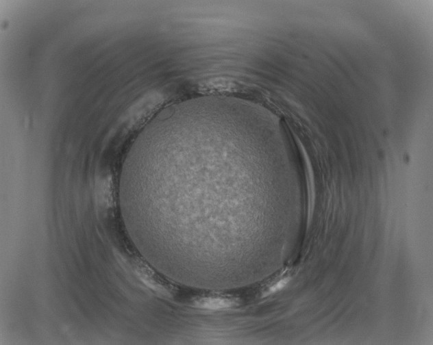 X0000085060224200703121533