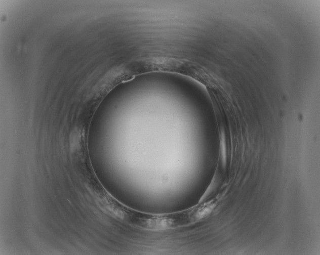 X0000085060225200703121533