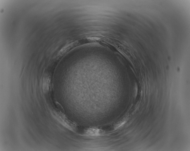 X0000085060227200703121533