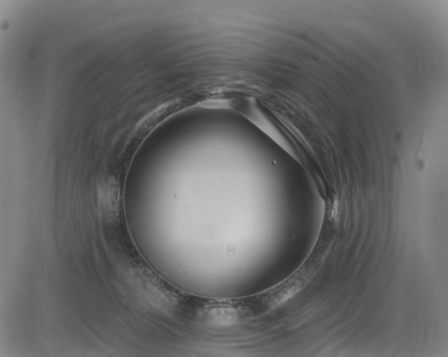 X0000085060228200703121533