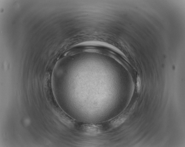 X0000085060229200703121533