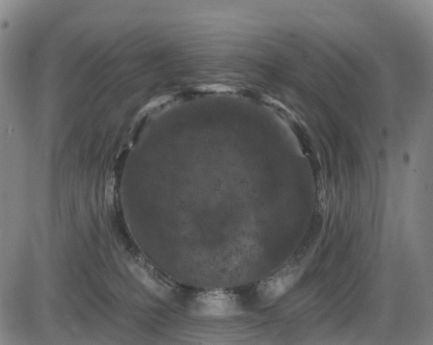 X0000085060231200703121533