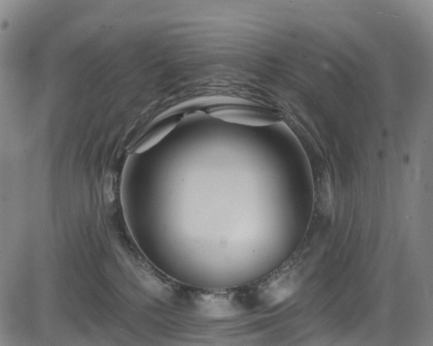 X0000085060232200703121533