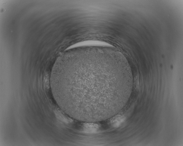 X0000085060234200703121533