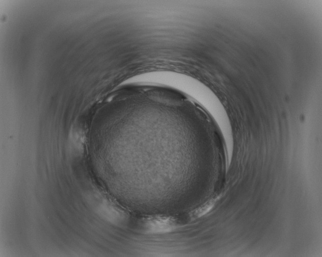 X0000085060235200703121533