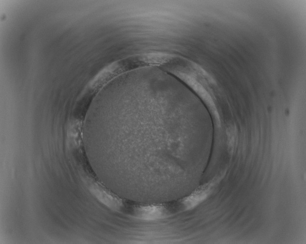 X0000085060237200703121533