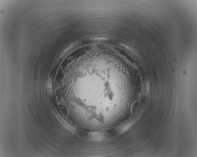 X0000085060238200703121533