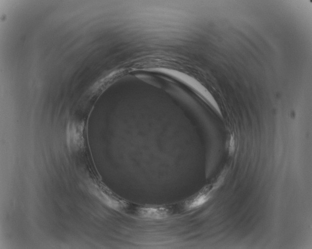 X0000085060239200703121533