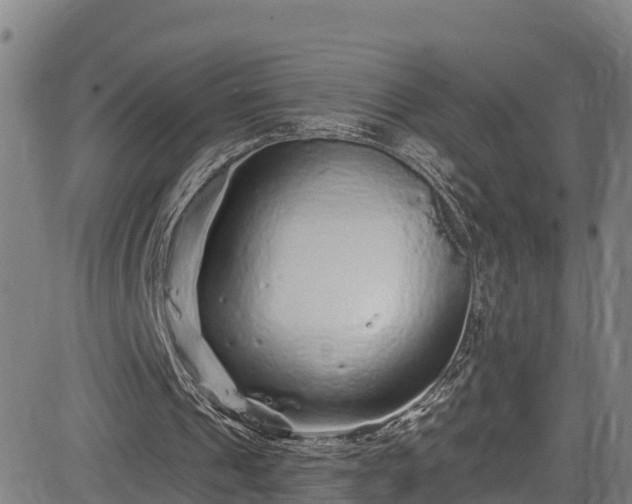 X0000085060241200703121532