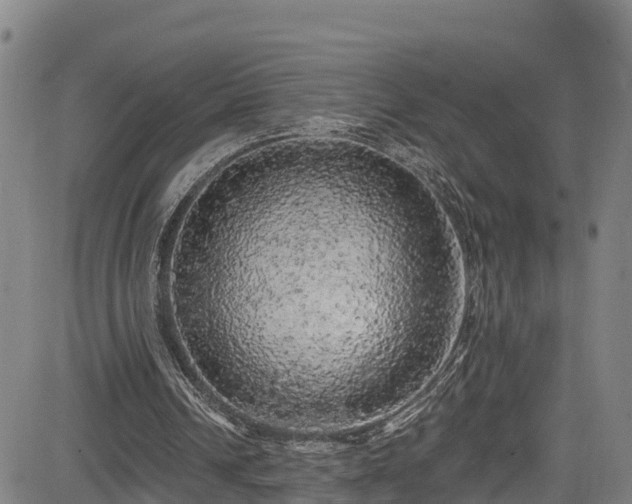 X0000085060242200703121532