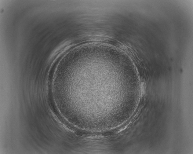 X0000085060243200703121532