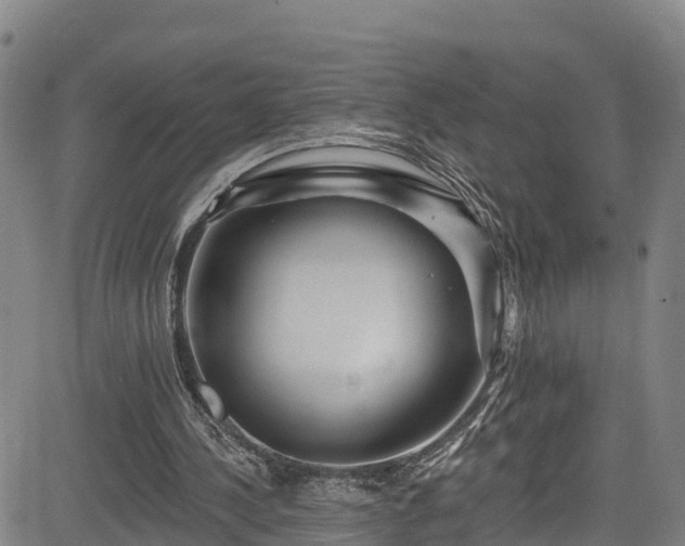 X0000085060244200703121532