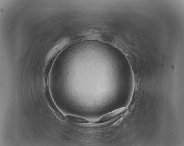 X0000085060245200703121532