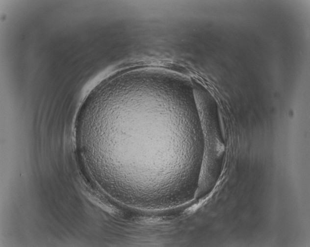 X0000085060246200703121532