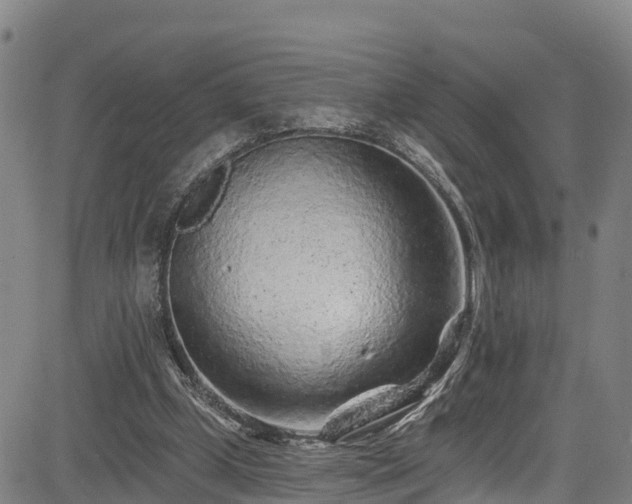 X0000085060249200703121532