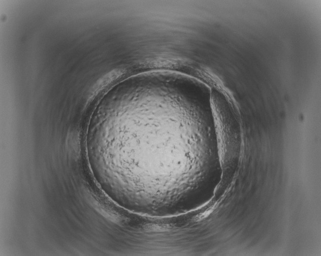 X0000085060250200703121532