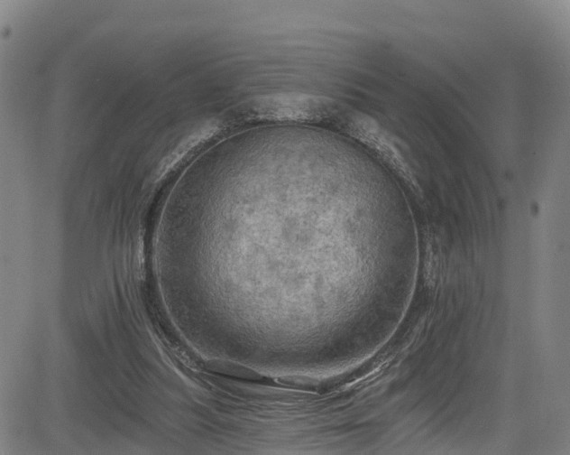 X0000085060251200703121532