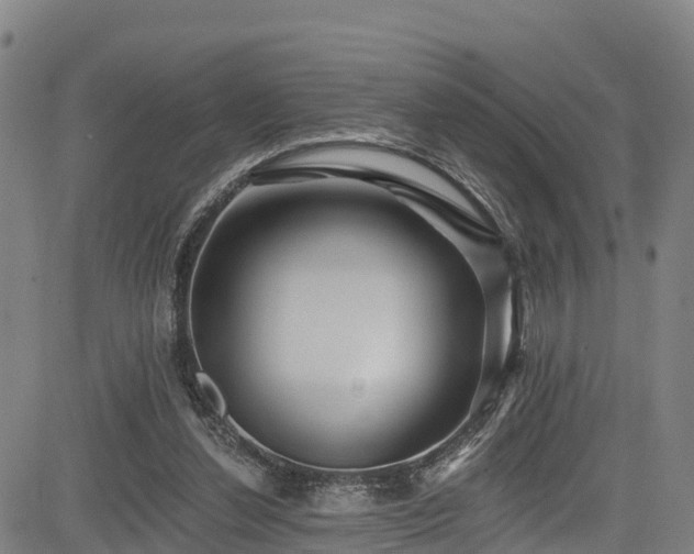 X0000085060252200703121532