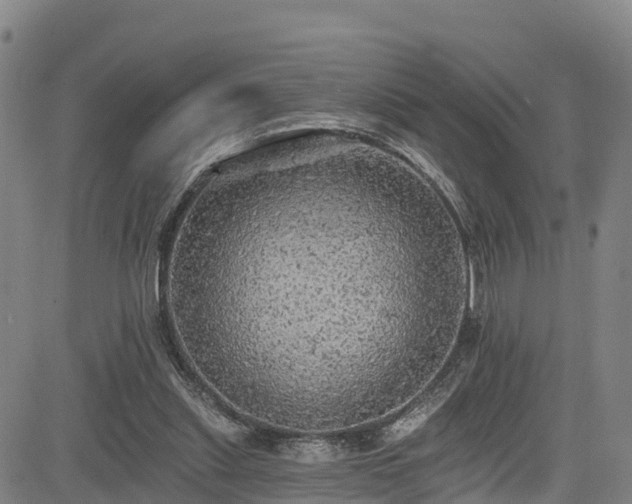 X0000085060253200703121532