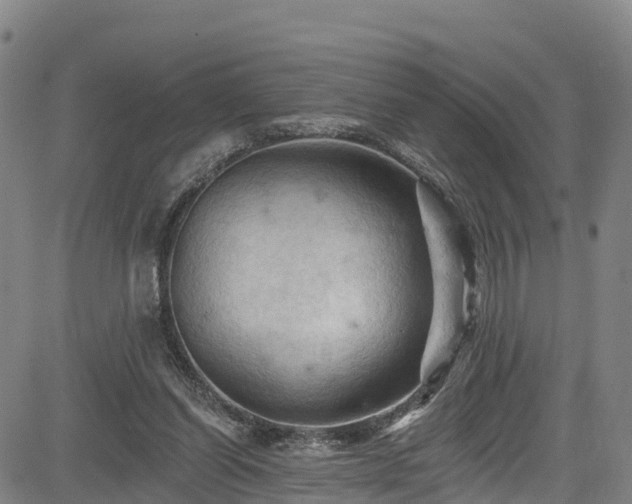 X0000085060254200703121532