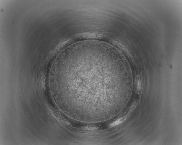 X0000085060255200703121532