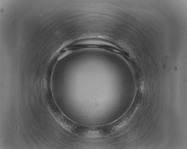 X0000085060256200703121532