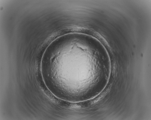 X0000085060257200703121532