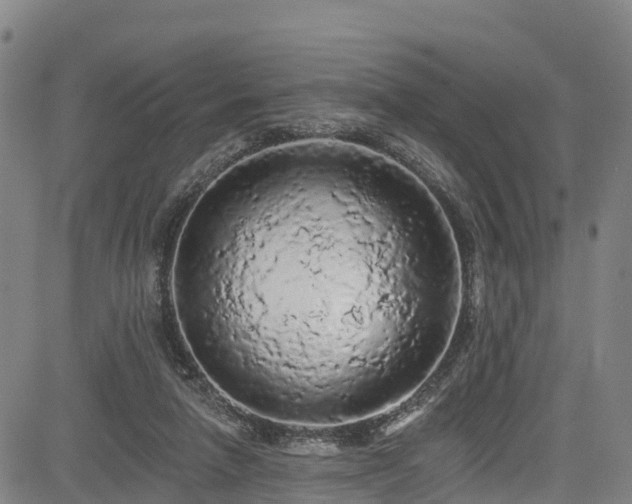 X0000085060258200703121532