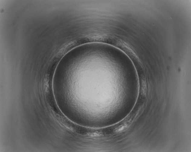 X0000085060259200703121532