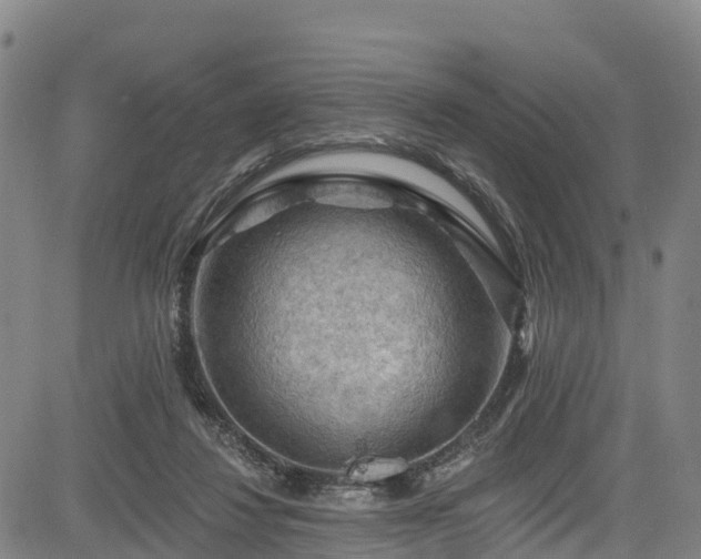 X0000085060260200703121532