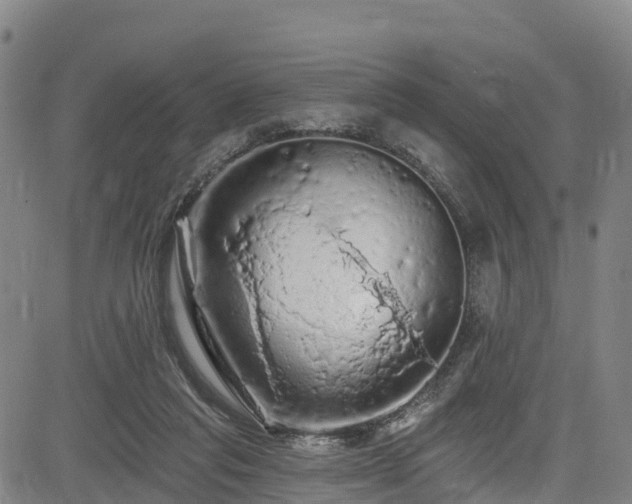 X0000085060261200703121532