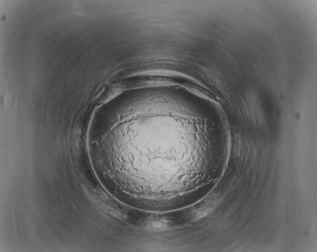 X0000085060263200703121532