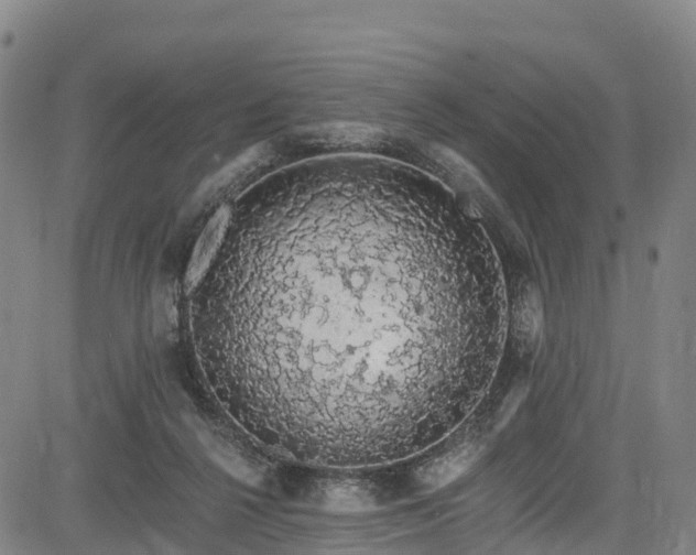 X0000085060264200703121532