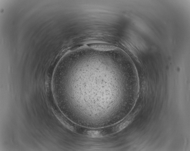 X0000085060265200703121532